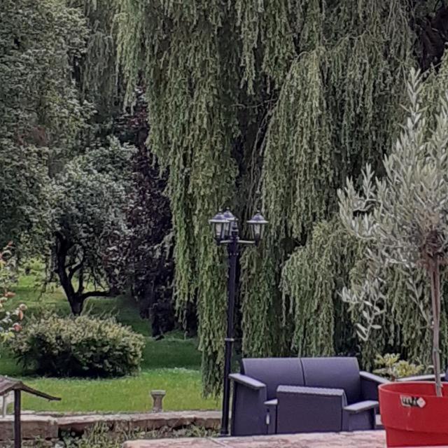 Le Domaine D'Elise Chambres Et Table D'Hotes - Vosges Saint-Ouen-les-Parey Exteriör bild